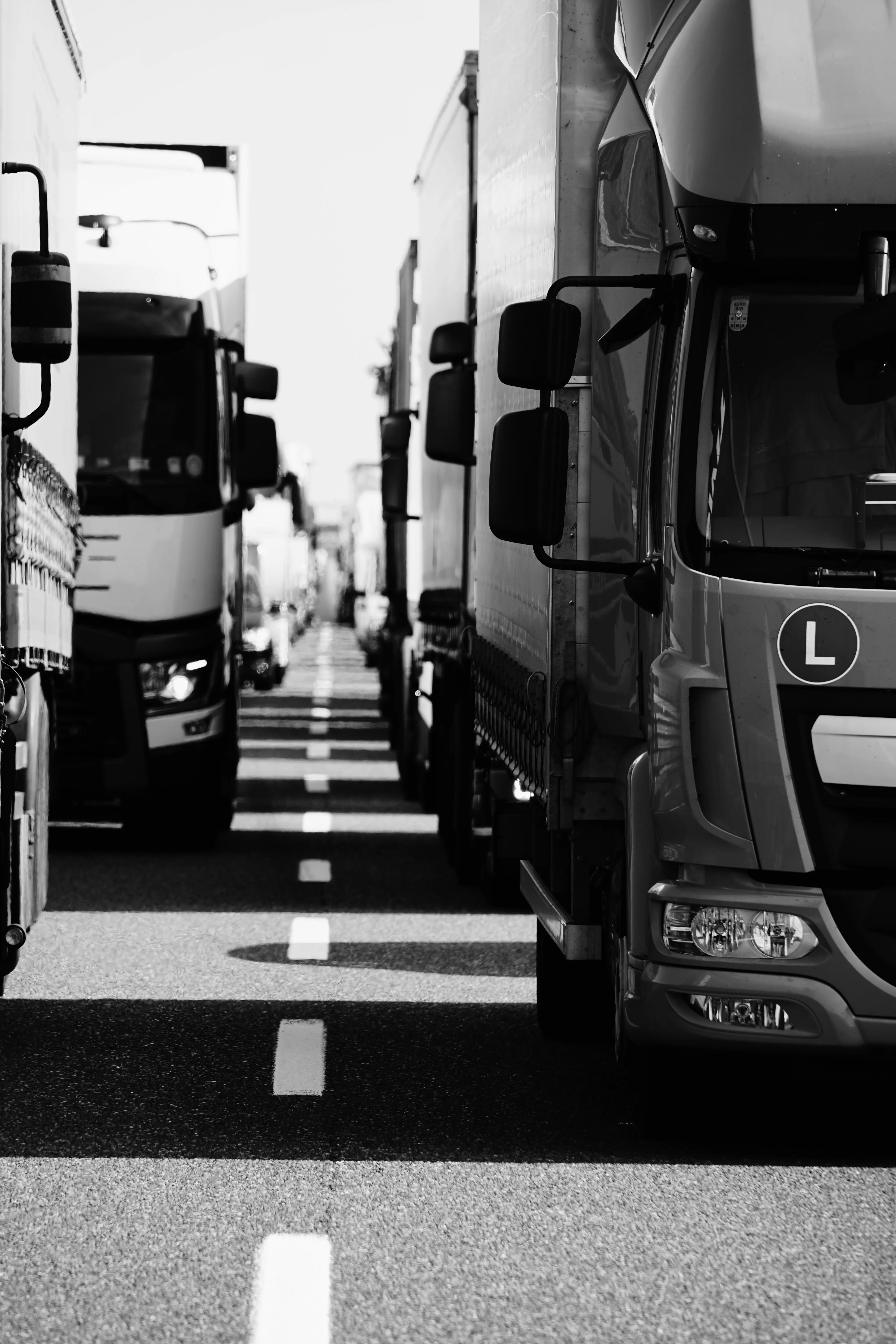 Fleet of commercial trucks parked in a row
