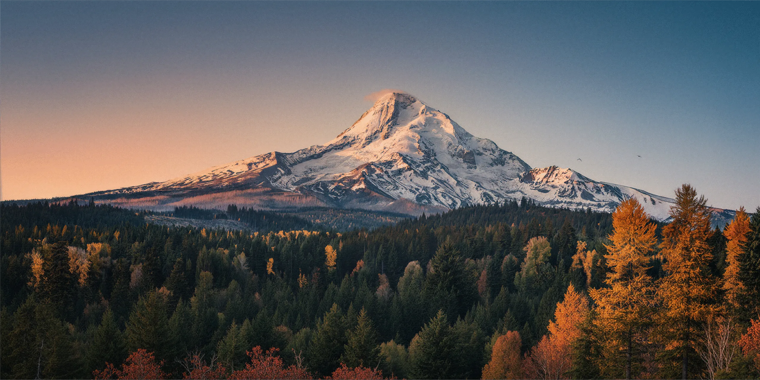 Auto Injury & Car Accident Chiropractor in West Linn, OR — Gentle Care Chiropractic, West Linn Oregon