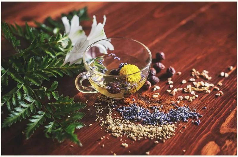 Shop — Gentle Care Chiropractic, West Linn Oregon