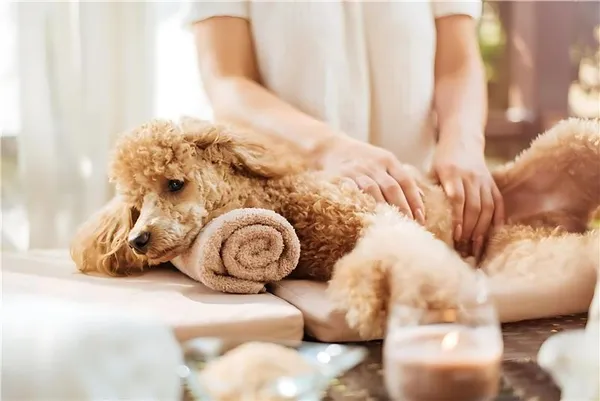 Paciente experimentando los beneficios de la terapia de masaje
