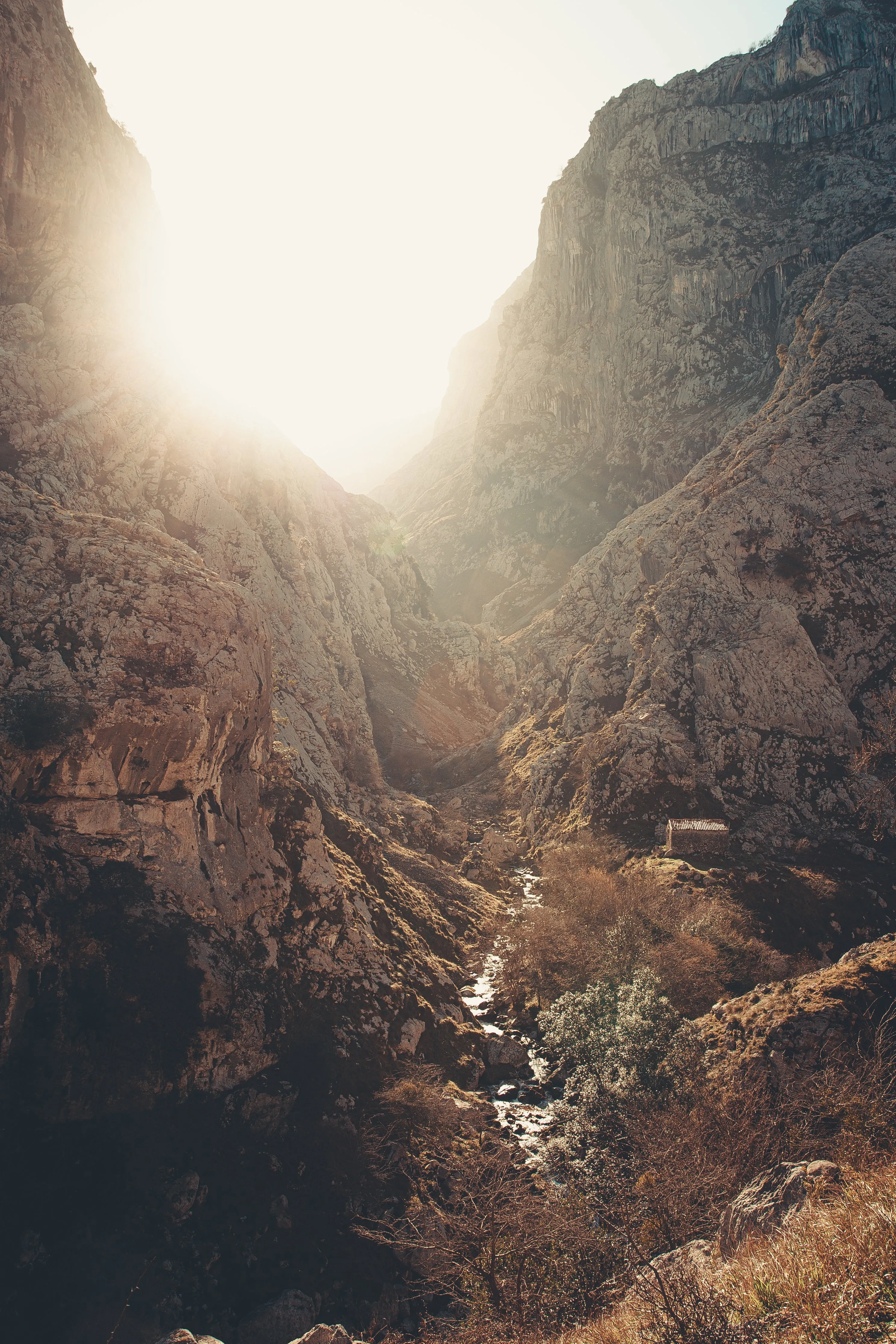 Mountain canyon with sunlight — the open road awaits