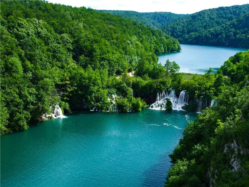 Atletas beneficiándose de la atención quiropráctica en Gentle Care