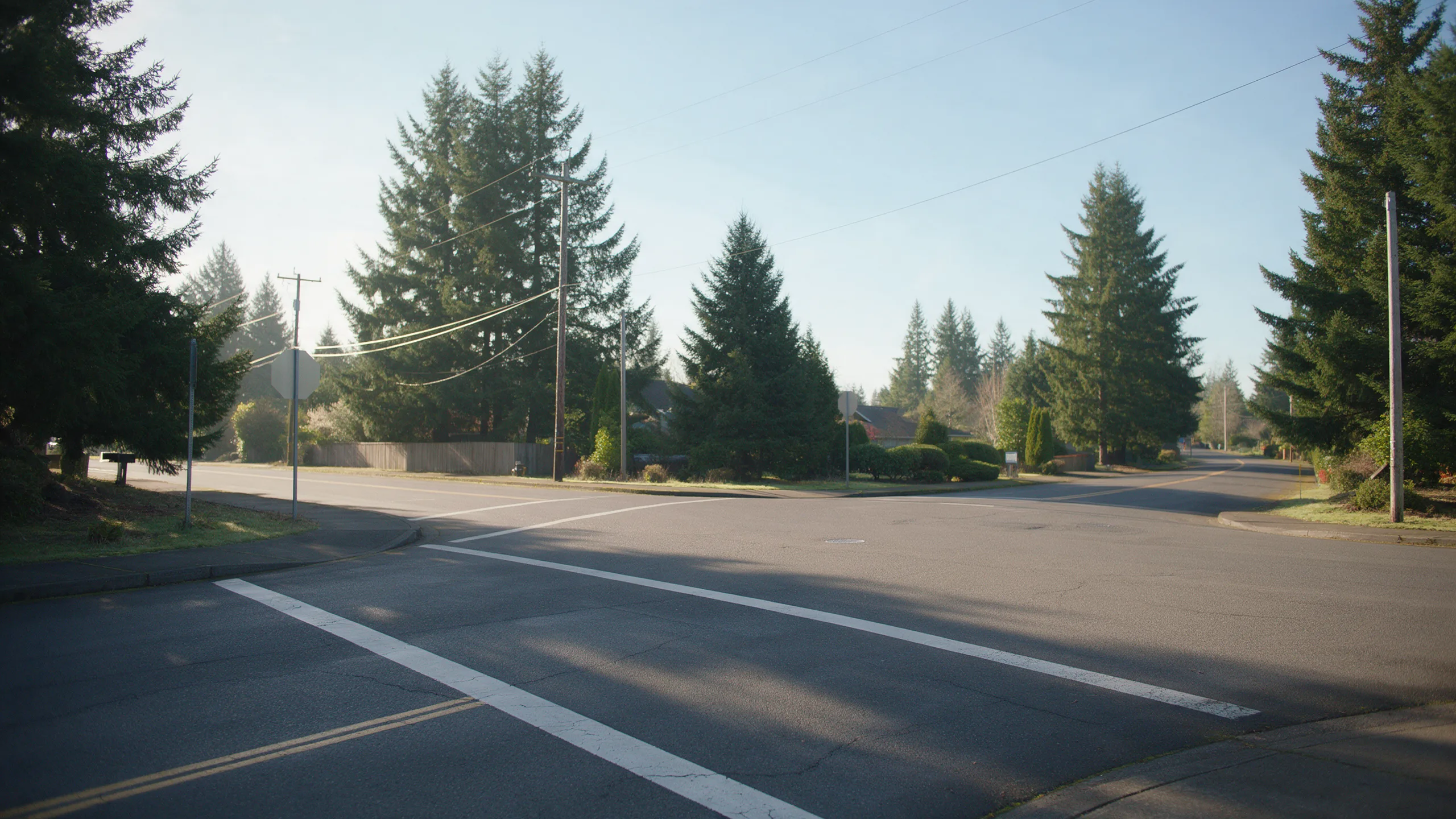 Oregon Car Accident Injuries: What the Data Tells Us (And What It Means for Your Recovery)